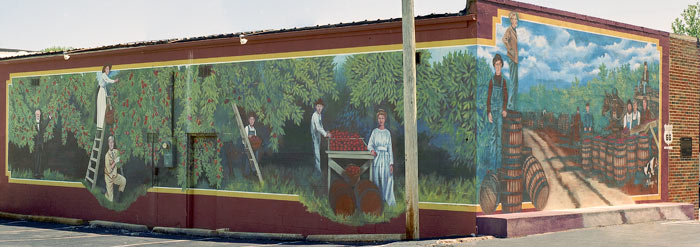 Apple Picking Mural